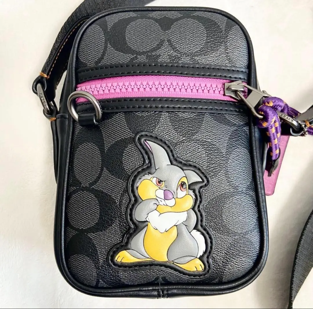 2026年最新】とんすけ coachの人気アイテム - メルカリ