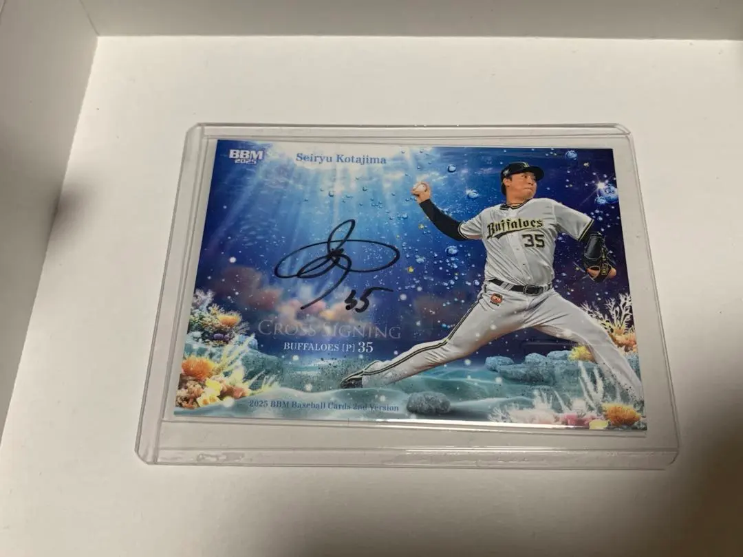 m29487931381_1.jpg?1762183566