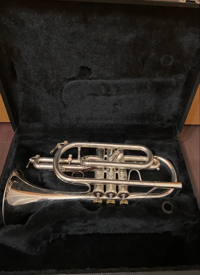 2026年最新】マルカート トランペットの人気アイテム - メルカリ