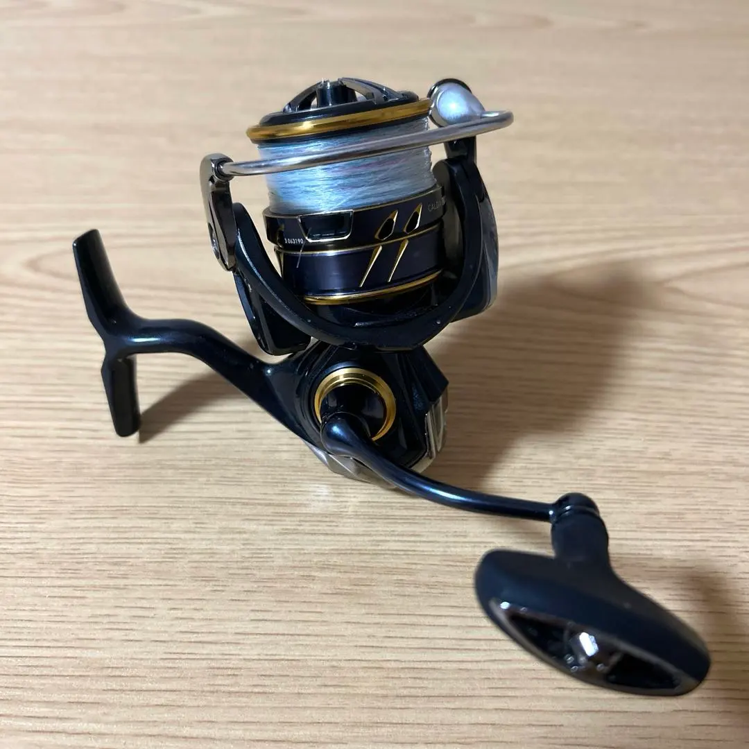 2026年最新】ダイワ 21カルディア lt2500s-xhの人気アイテム - メルカリ