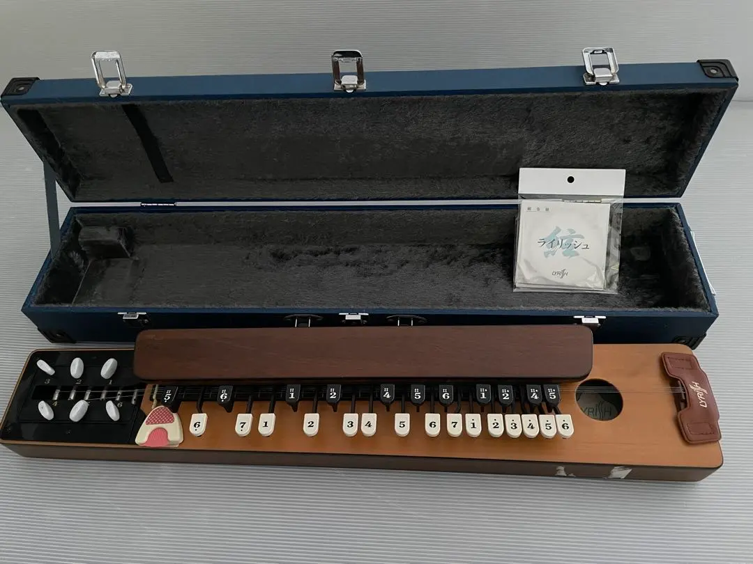 2026年最新】大正琴ライリッシュの人気アイテム - メルカリ