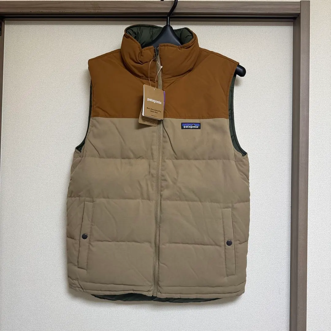 2026年最新】パタゴニア ダウンベスト ストライプの人気アイテム