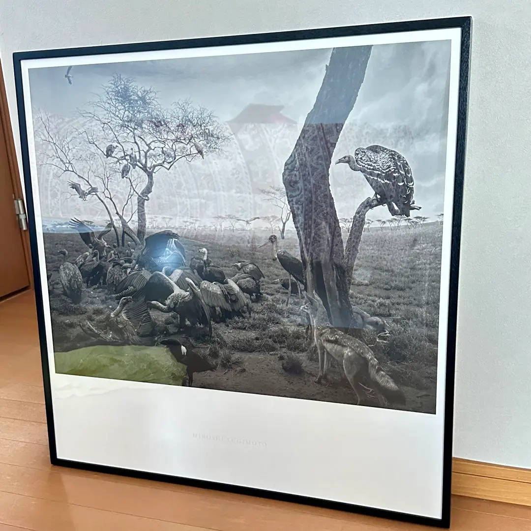 2026年最新】杉本博司 ポスターの人気アイテム - メルカリ