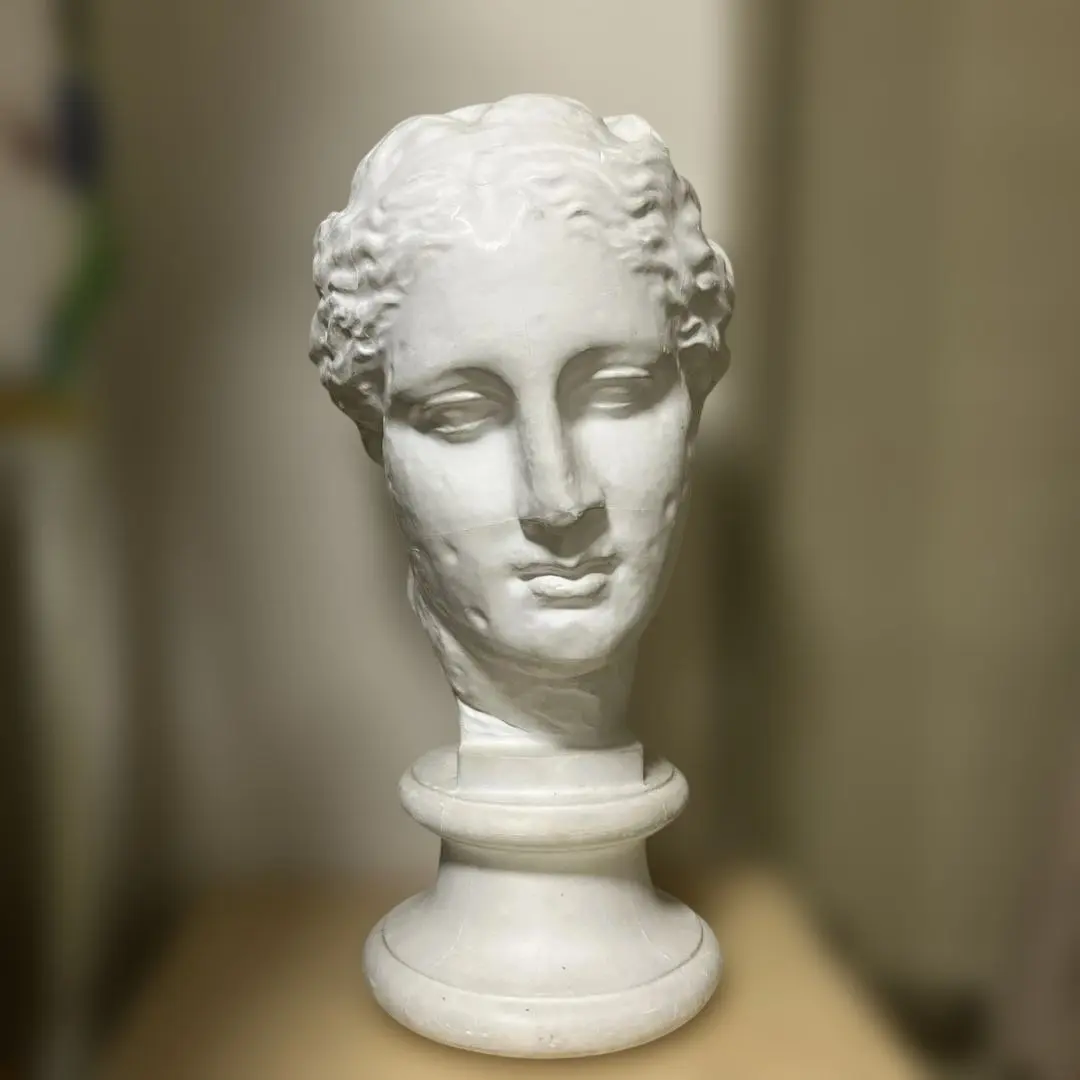 2026年最新】アバタのヴィーナスの人気アイテム - メルカリ