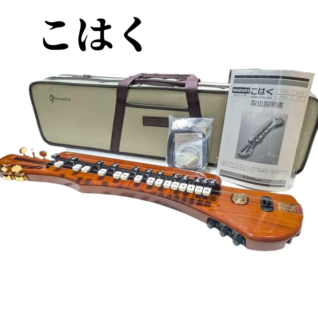 2026年最新】大正琴 こはく chk-1の人気アイテム - メルカリ