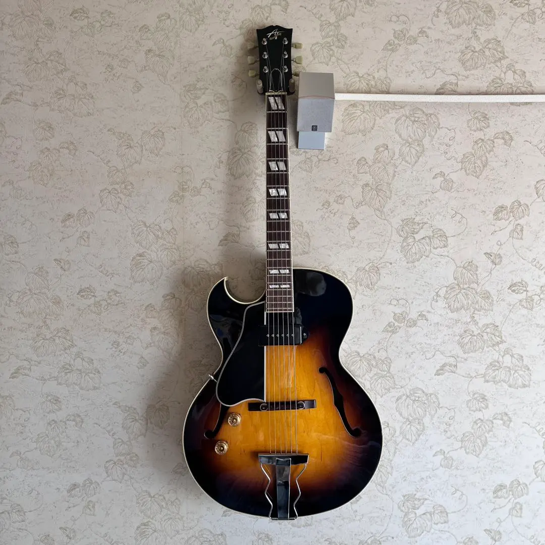 2026年最新】archtop tributeの人気アイテム - メルカリ