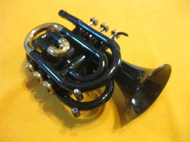 2026年最新】jupiter ポケットトランペットの人気アイテム - メルカリ