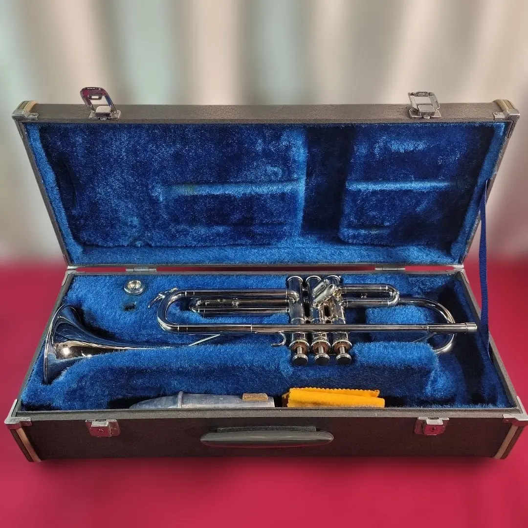 2026年最新】ニッカン トロンボーンの人気アイテム - メルカリ