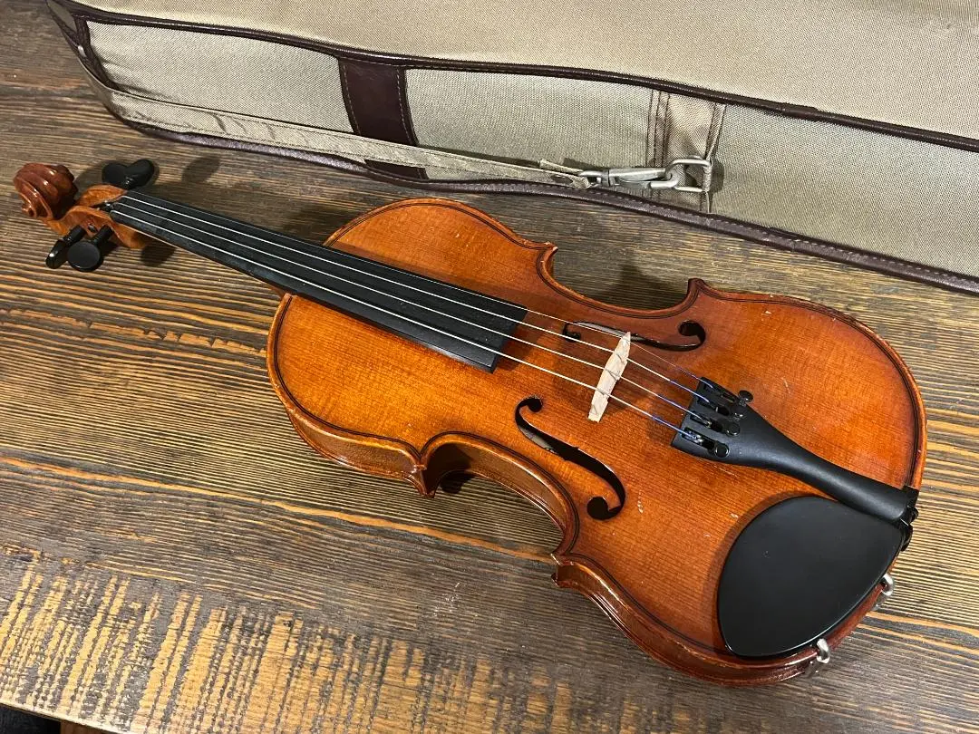 2026年最新】恵那バイオリンの人気アイテム - メルカリ