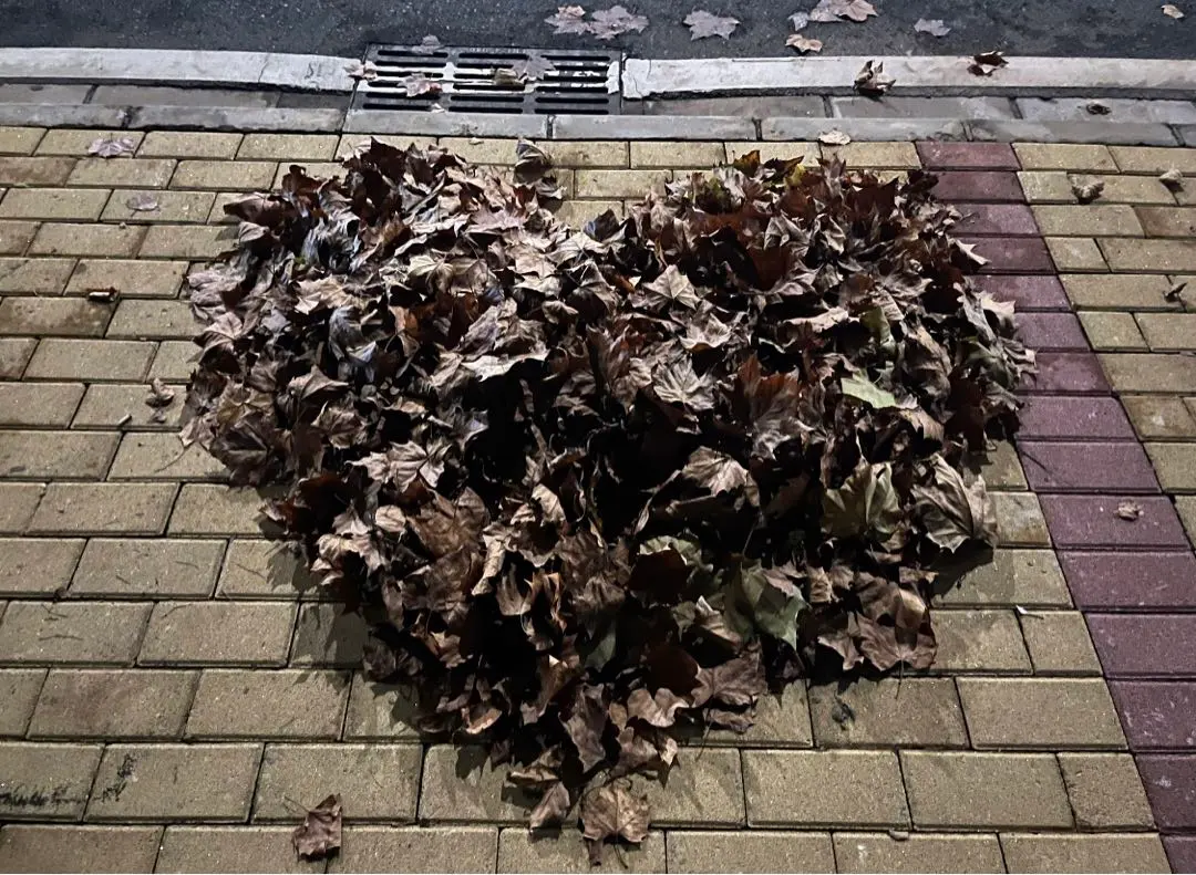 2026年最新】SUKARA s リブショートタンクトップの人気アイテム - メルカリ