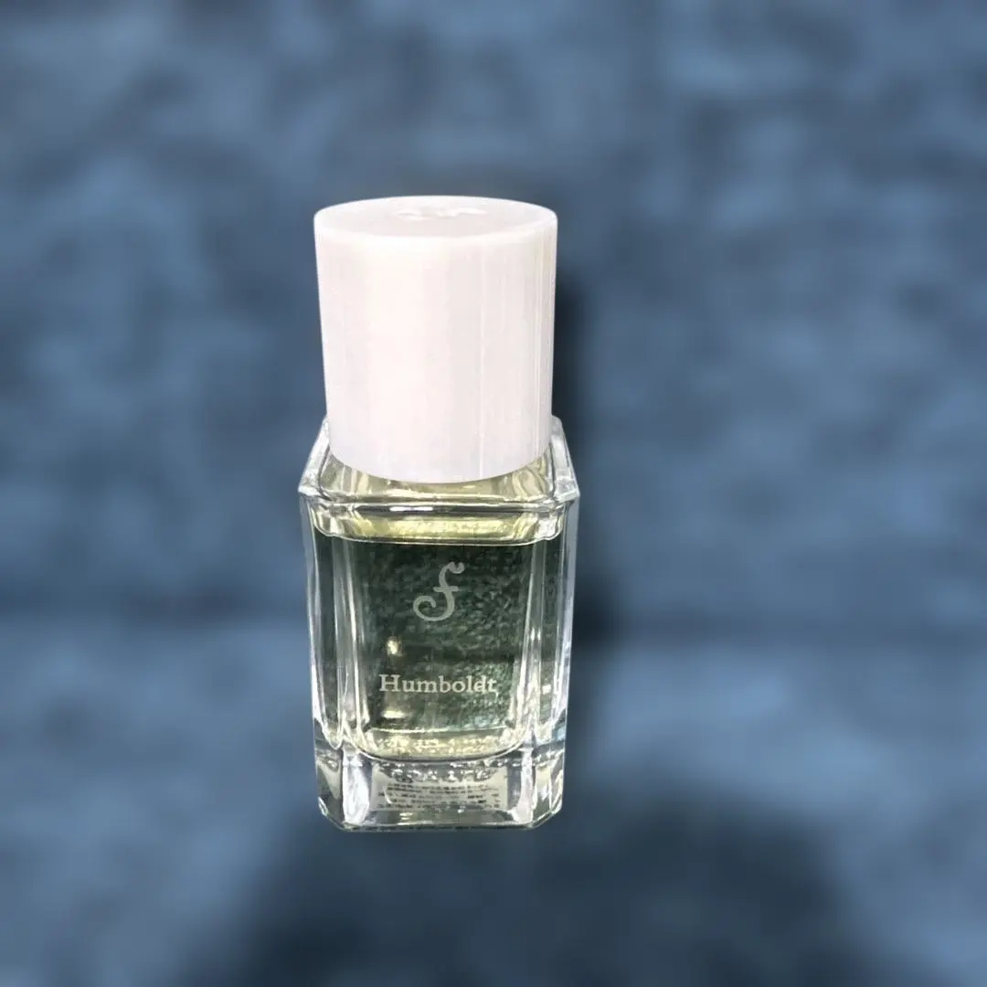 2026年最新】フンボルト フエギアの人気アイテム - メルカリ