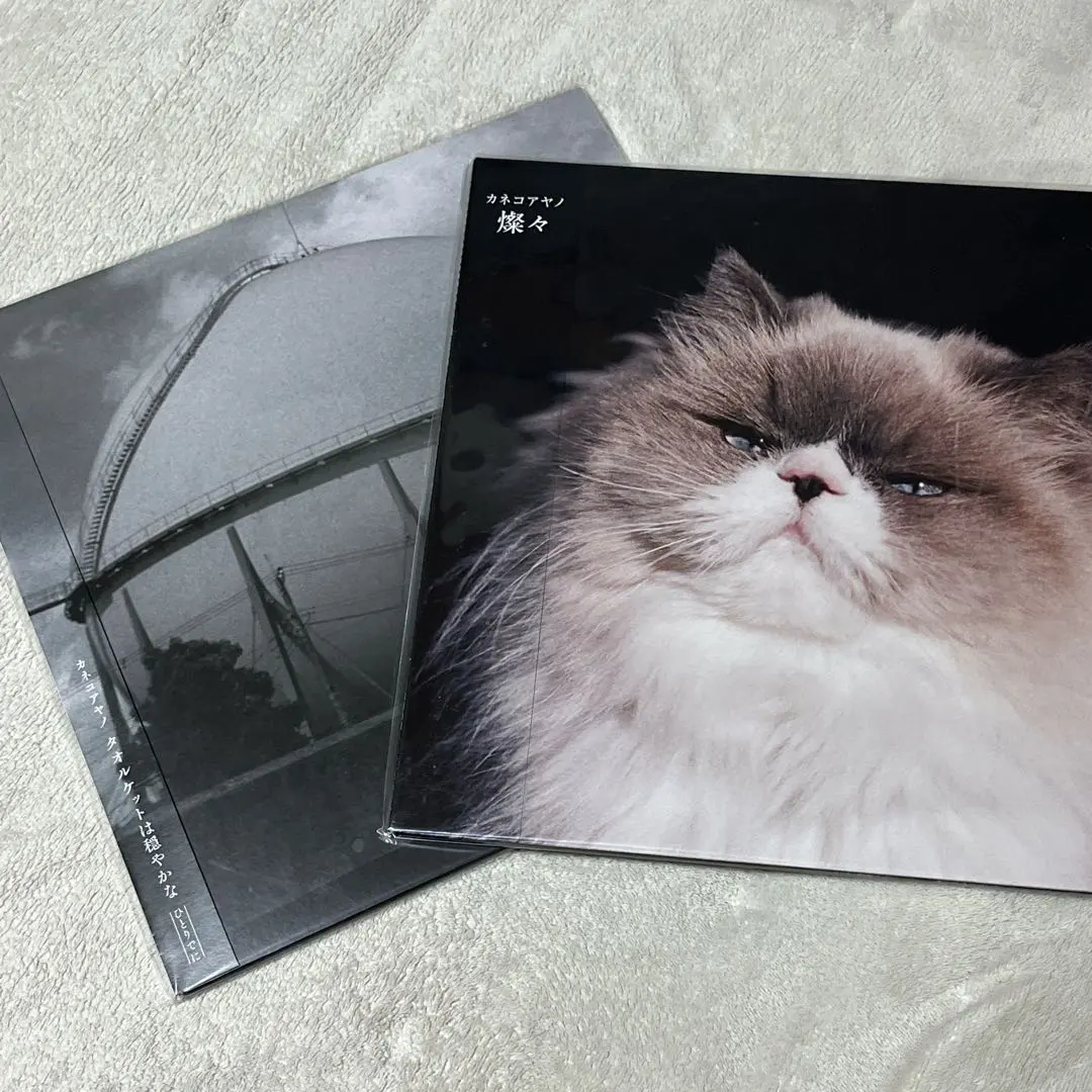 2026年最新】カネコアヤノ 燦々 レコードの人気アイテム - メルカリ