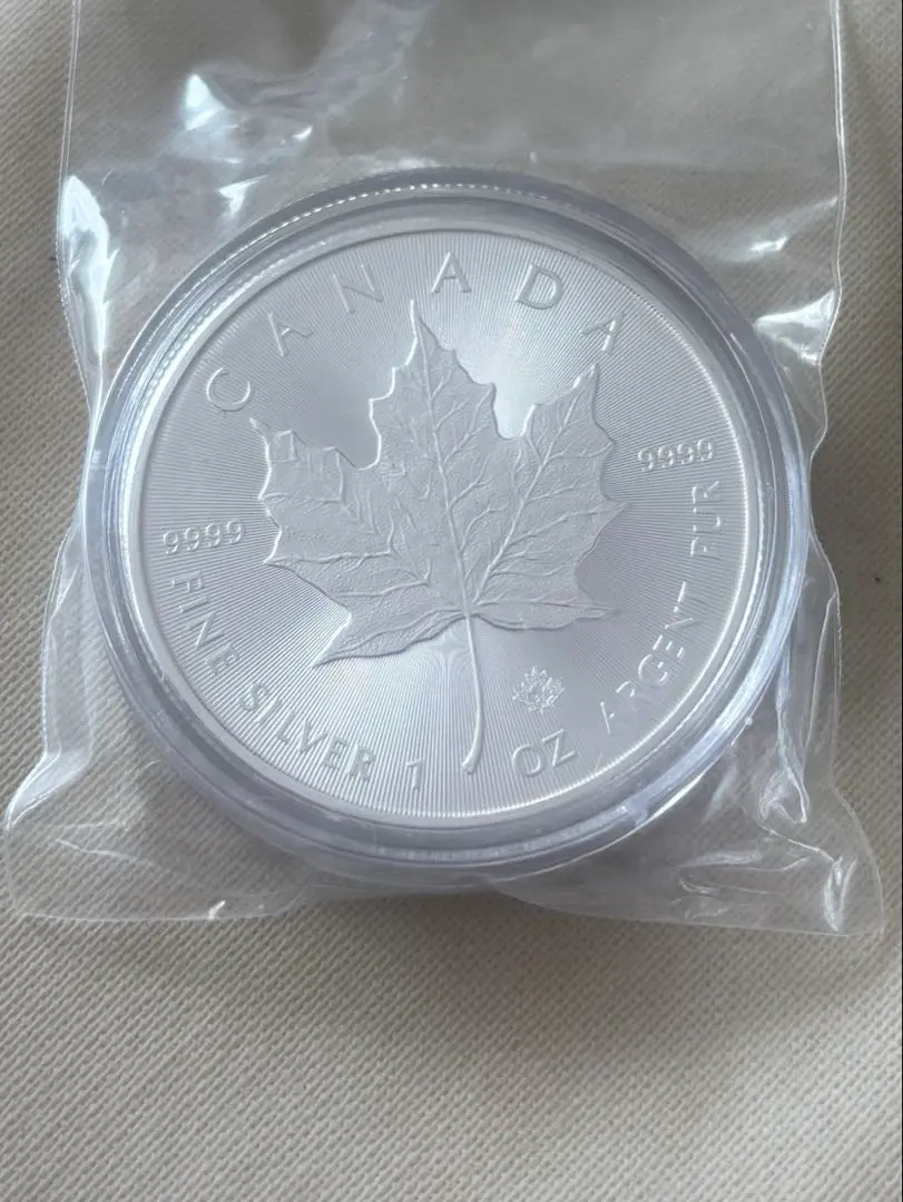 2026年最新】メイプルリーフ銀貨 2021の人気アイテム - メルカリ