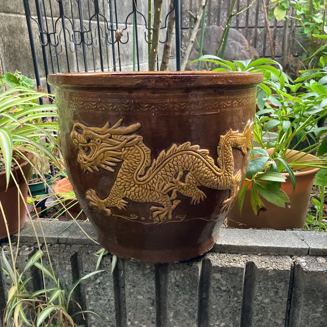 2026年最新】ピータン壺の人気アイテム - メルカリ