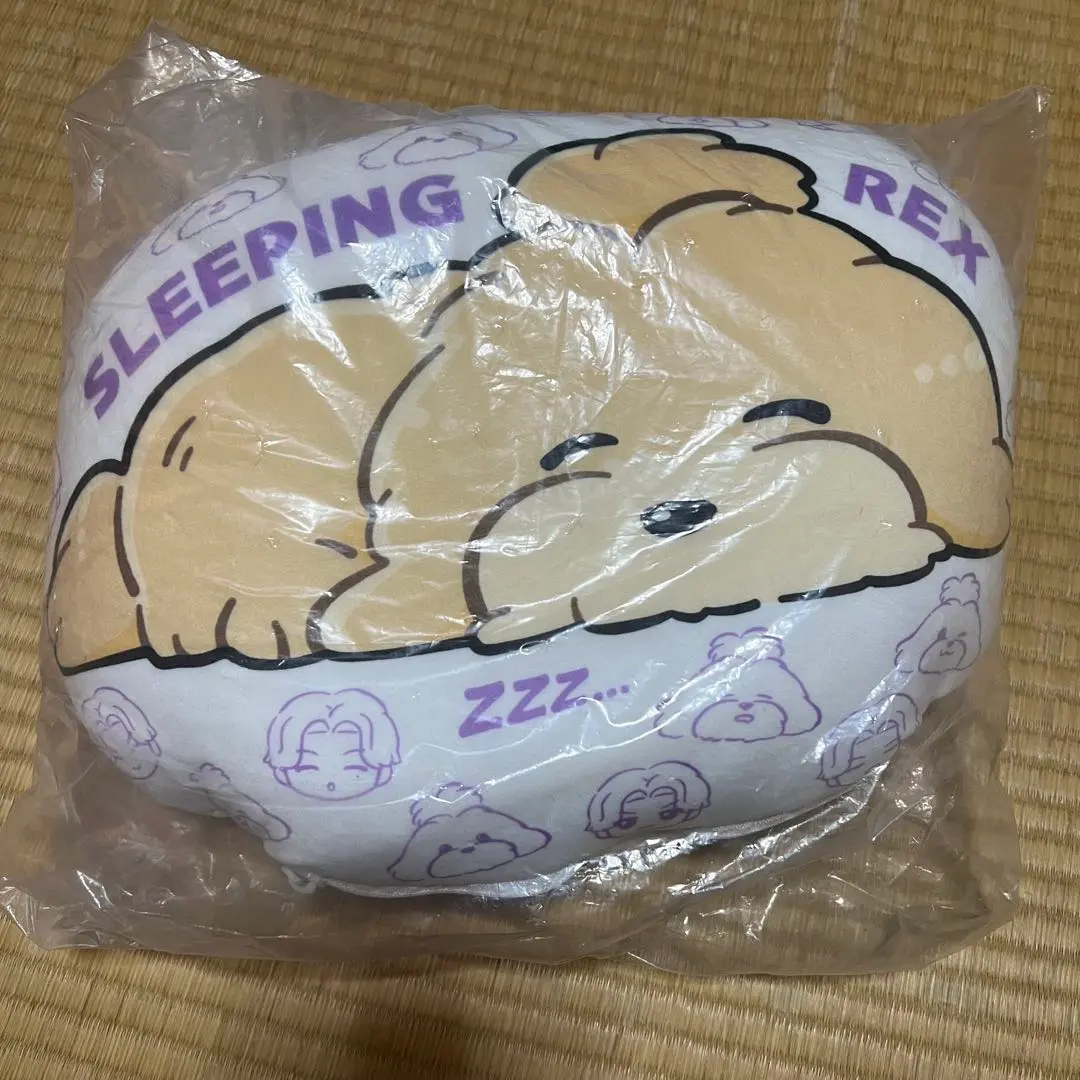 2026年最新】白濱亜嵐 レックスの人気アイテム - メルカリ