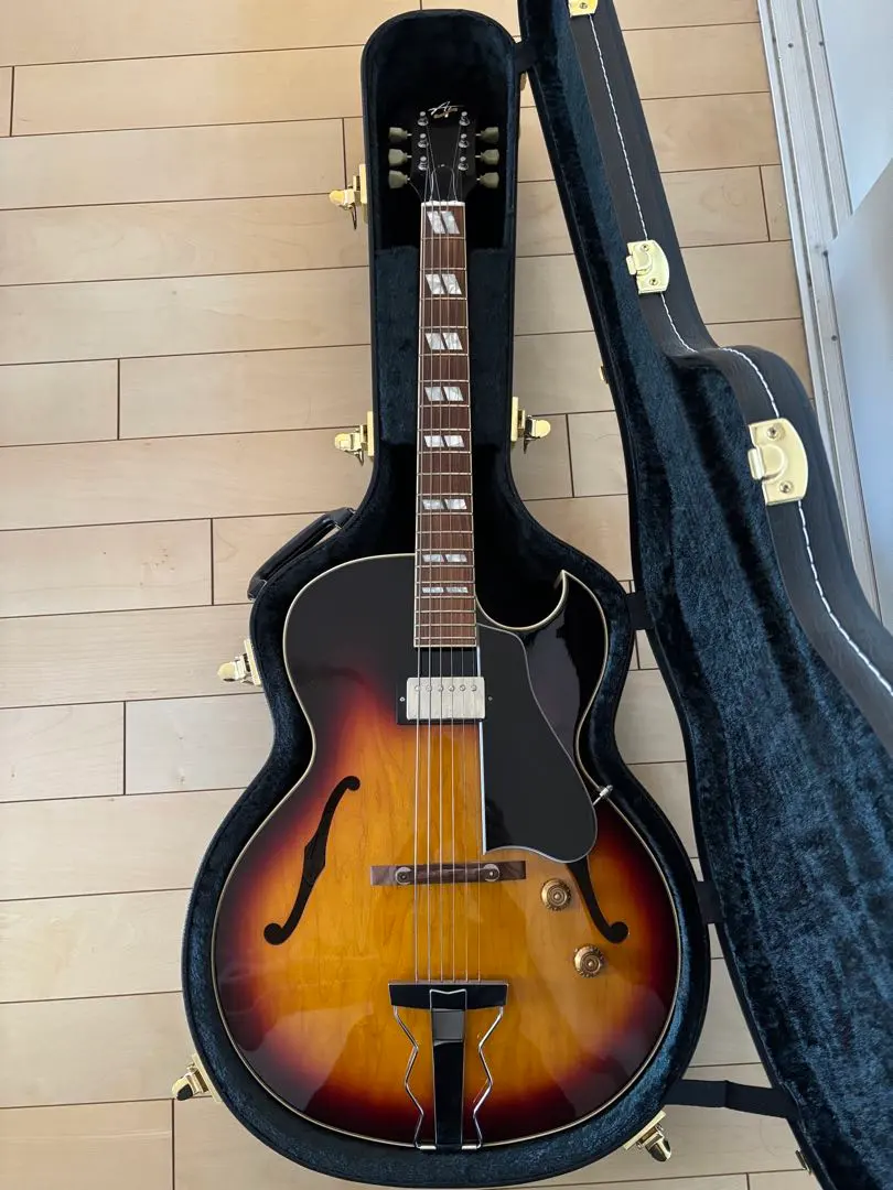2026年最新】archtop tributeの人気アイテム - メルカリ