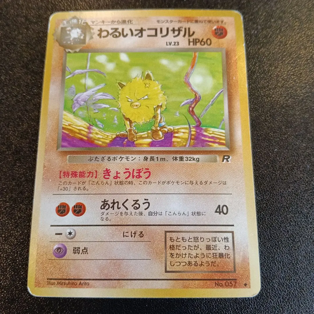 m46967920437_1.jpg?1771546617