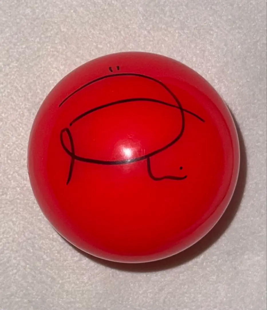 2026年最新】niziu サイン ボールの人気アイテム - メルカリ