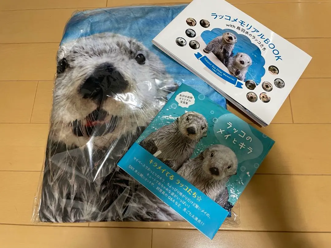 2026年最新】ラッコのメイ 写真集の人気アイテム - メルカリ