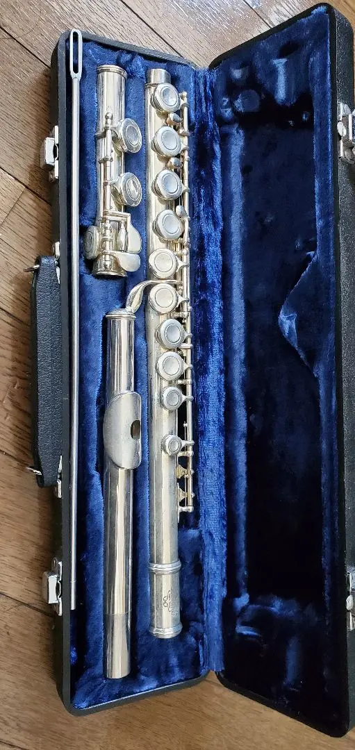 2026年最新】marcato フルートの人気アイテム - メルカリ