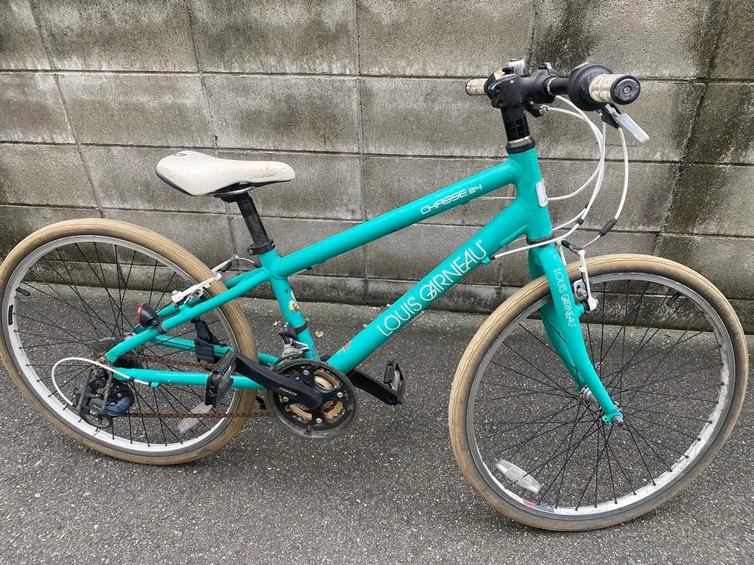 2026年最新】ルイガノ 24 インチの人気アイテム - メルカリ