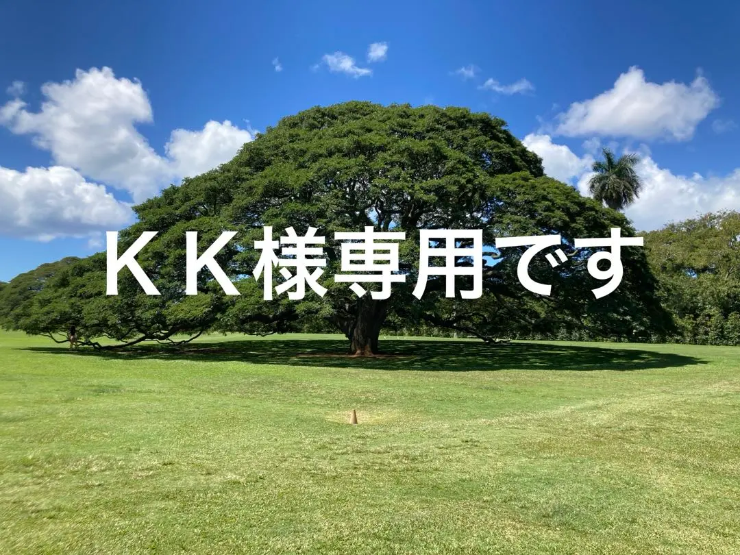 2026年最新】大谷翔平 レプリカ サインボールの人気アイテム - メルカリ
