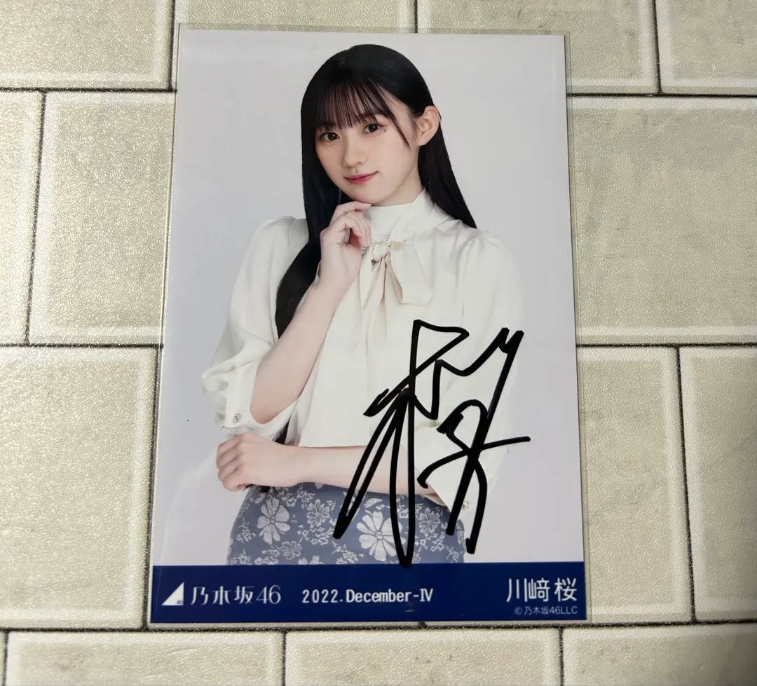 m50910404356_1.jpg?1765979129