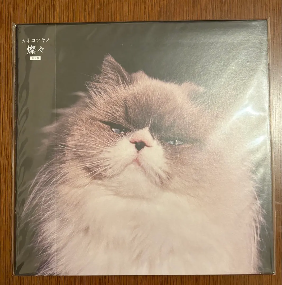 2026年最新】カネコアヤノ レコード 祝祭の人気アイテム - メルカリ