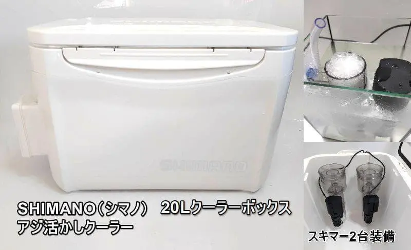 m53744123904_1.jpg?1768079597