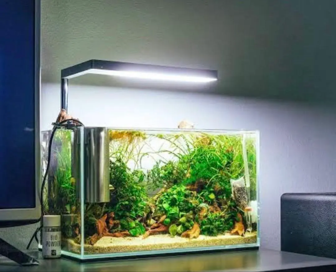 2026年最新】Onf flat nanoの人気アイテム - メルカリ