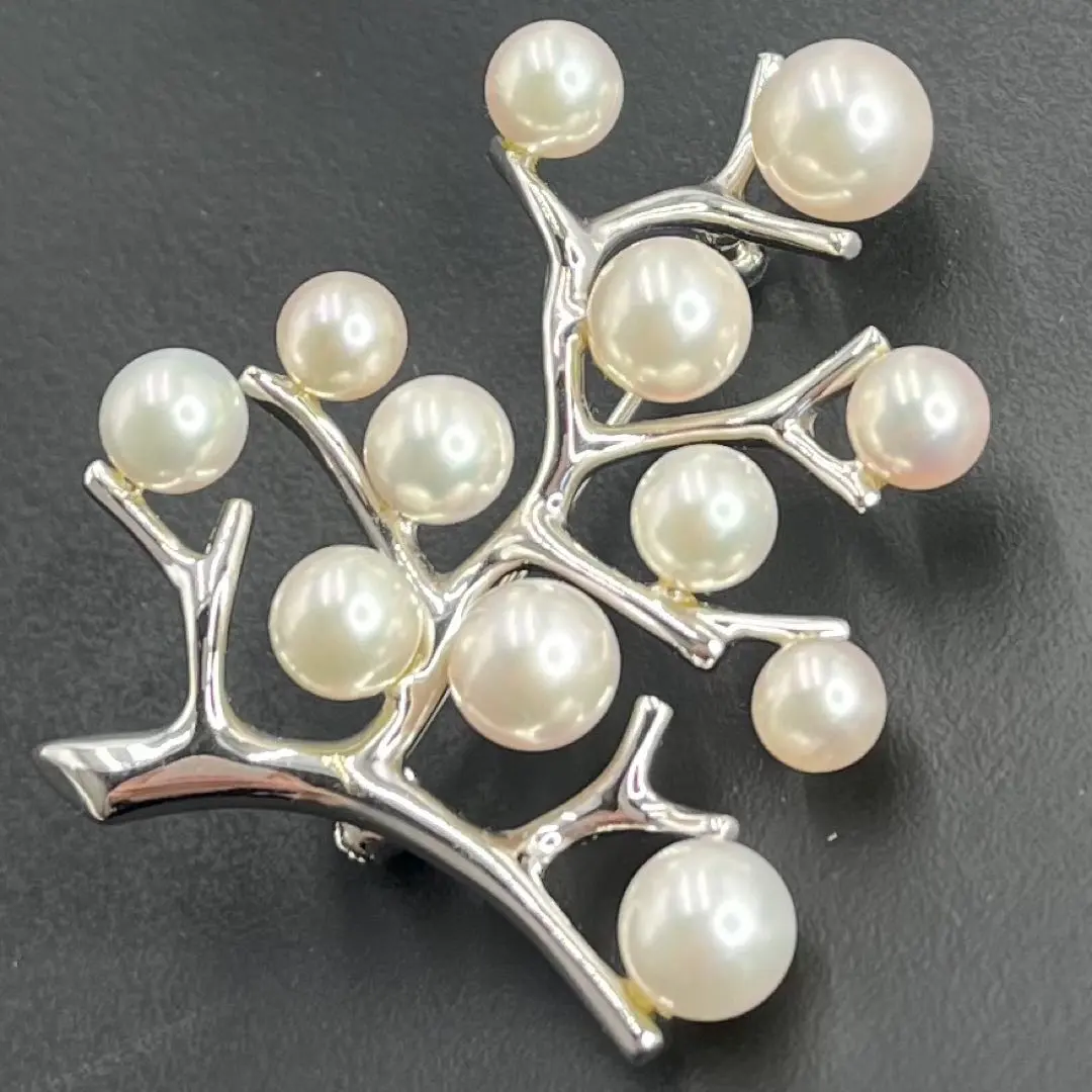 2026年最新】幸福の木 ミキモトの人気アイテム - メルカリ