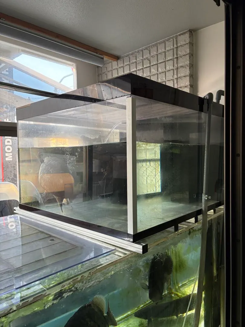 2026年最新】アクリル水槽90の人気アイテム - メルカリ