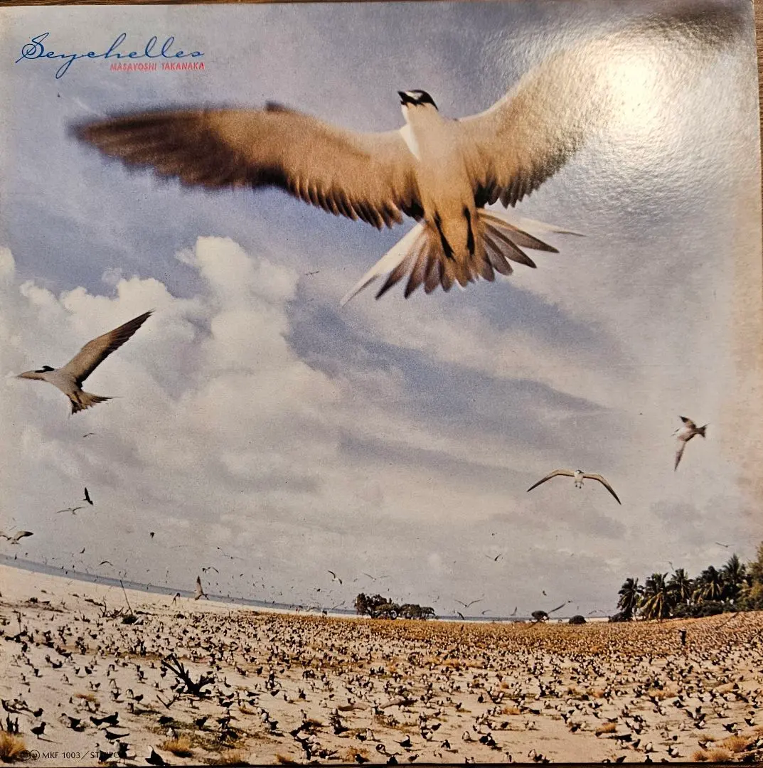 2026年最新】SEYCHELLES 高中正義の人気アイテム - メルカリ