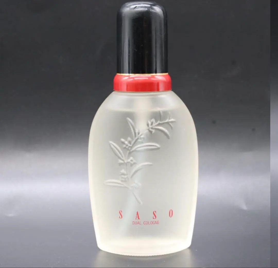 2026年最新】沙棗の人気アイテム - メルカリ