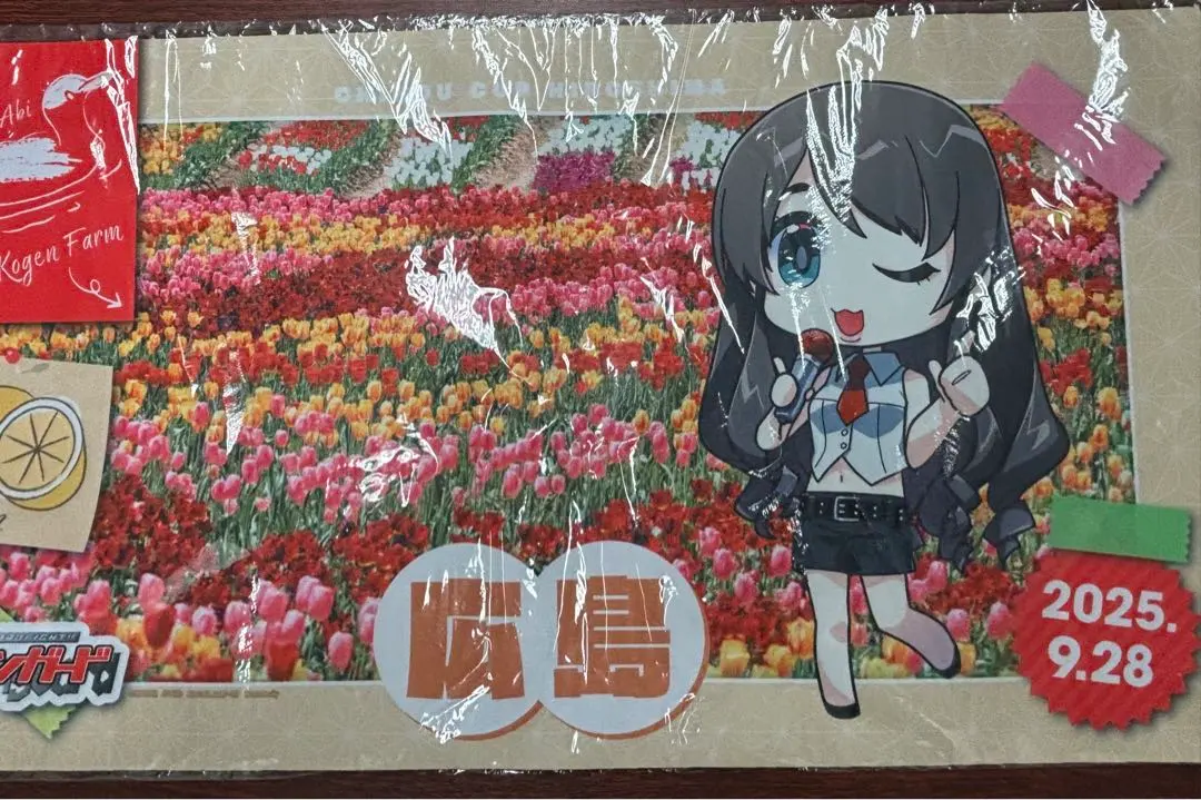 2026年最新】ちほうかっぷ プレイマットの人気アイテム - メルカリ