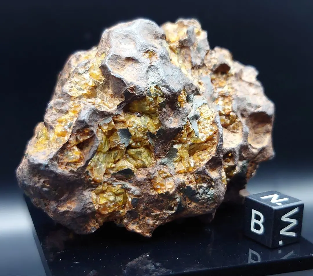 2026年最新】イミラックパラサイトの人気アイテム - メルカリ