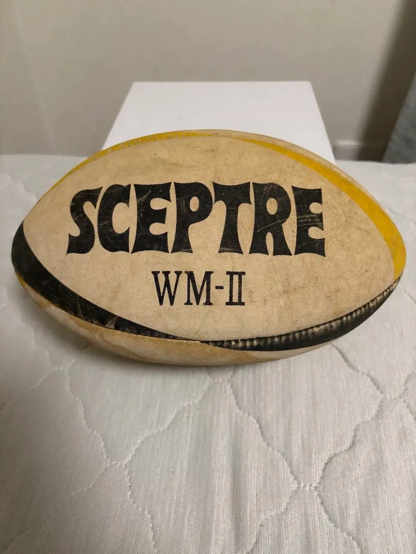 2026年最新】セプターラグビーボールの人気アイテム - メルカリ