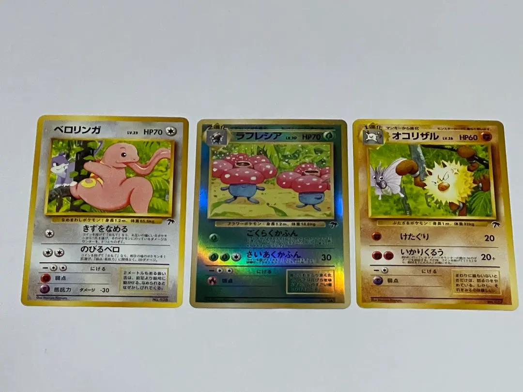 2026年最新】サザンアイランド ラフレシアの人気アイテム - メルカリ