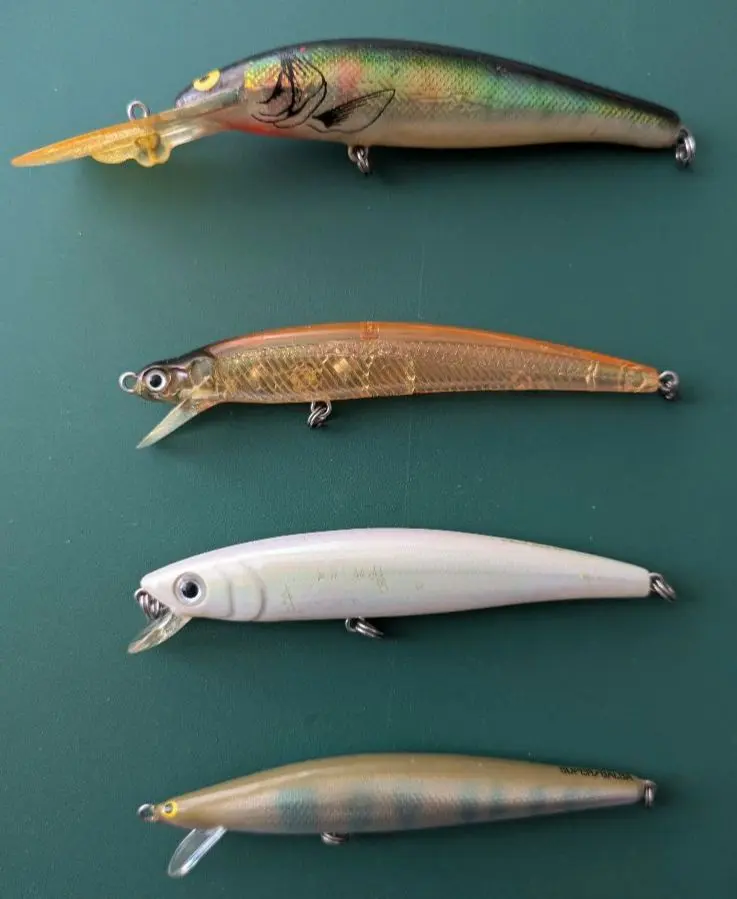 2026年最新】コーモラン オールドの人気アイテム - メルカリ