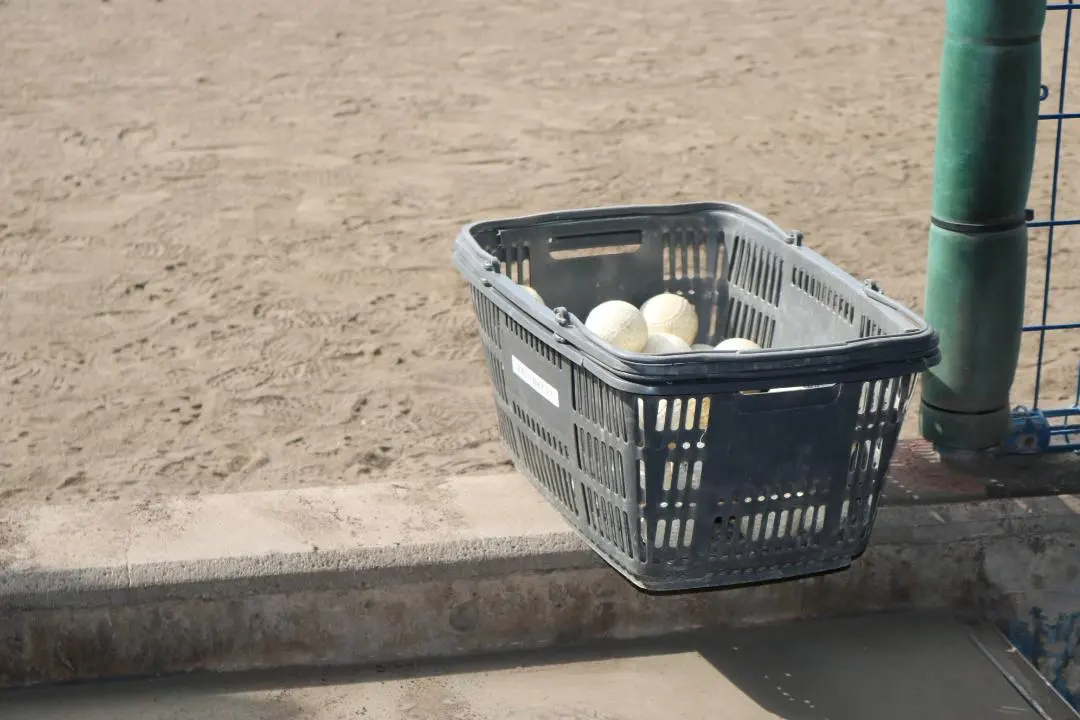 2026年最新】ssk mm23 少年80cmの人気アイテム - メルカリ