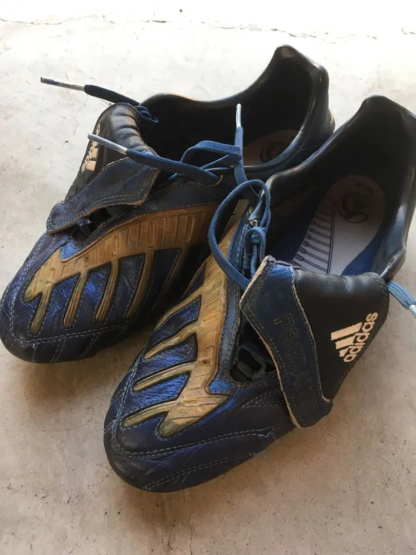 2026年最新】プレデターパワースワーブの人気アイテム - メルカリ