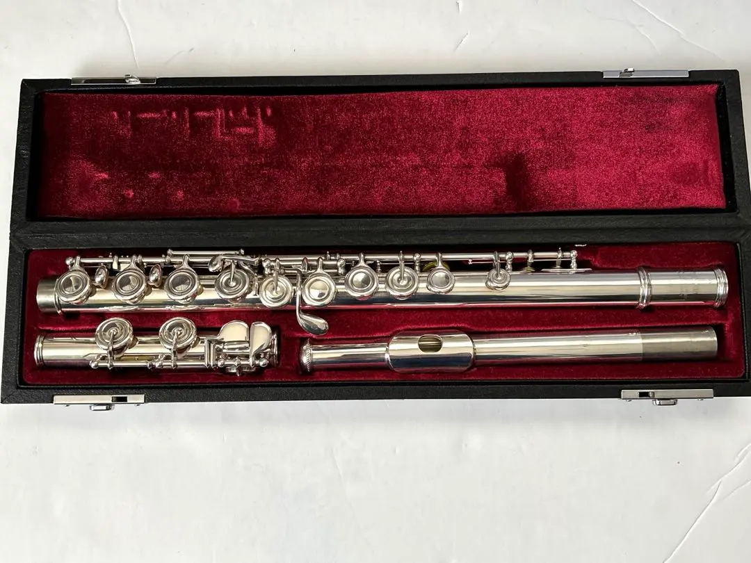 2026年最新】yamaha yfl 351の人気アイテム - メルカリ