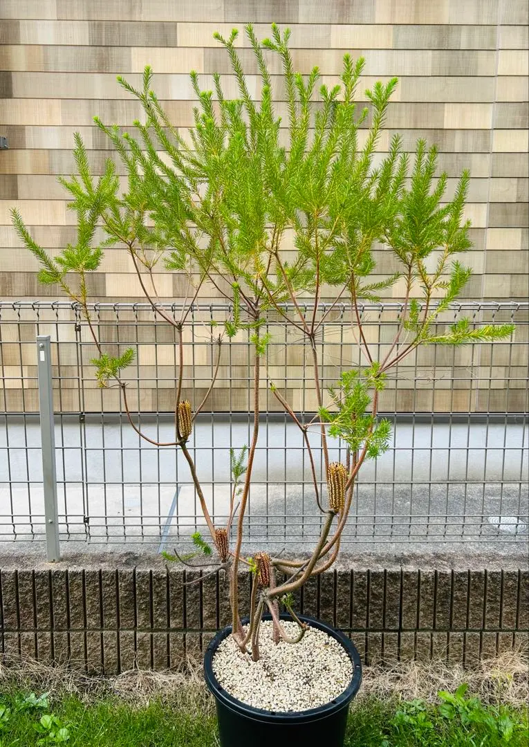 m72883361042_1.jpg?1761357505