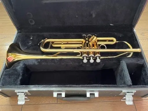 2026年最新】YTR-234 YAMAHAの人気アイテム - メルカリ