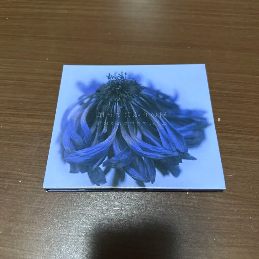 2026年最新】君のために生きていくね 踊ってばかりの国の人気アイテム