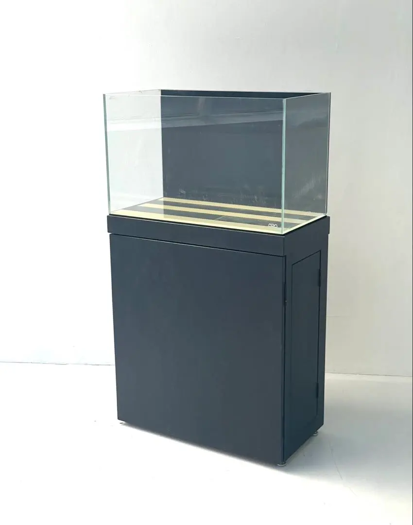 2026年最新】ada 水槽 60 30 45の人気アイテム - メルカリ