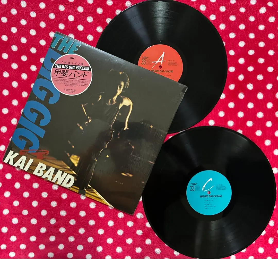 2026年最新】甲斐バンド big gigの人気アイテム - メルカリ