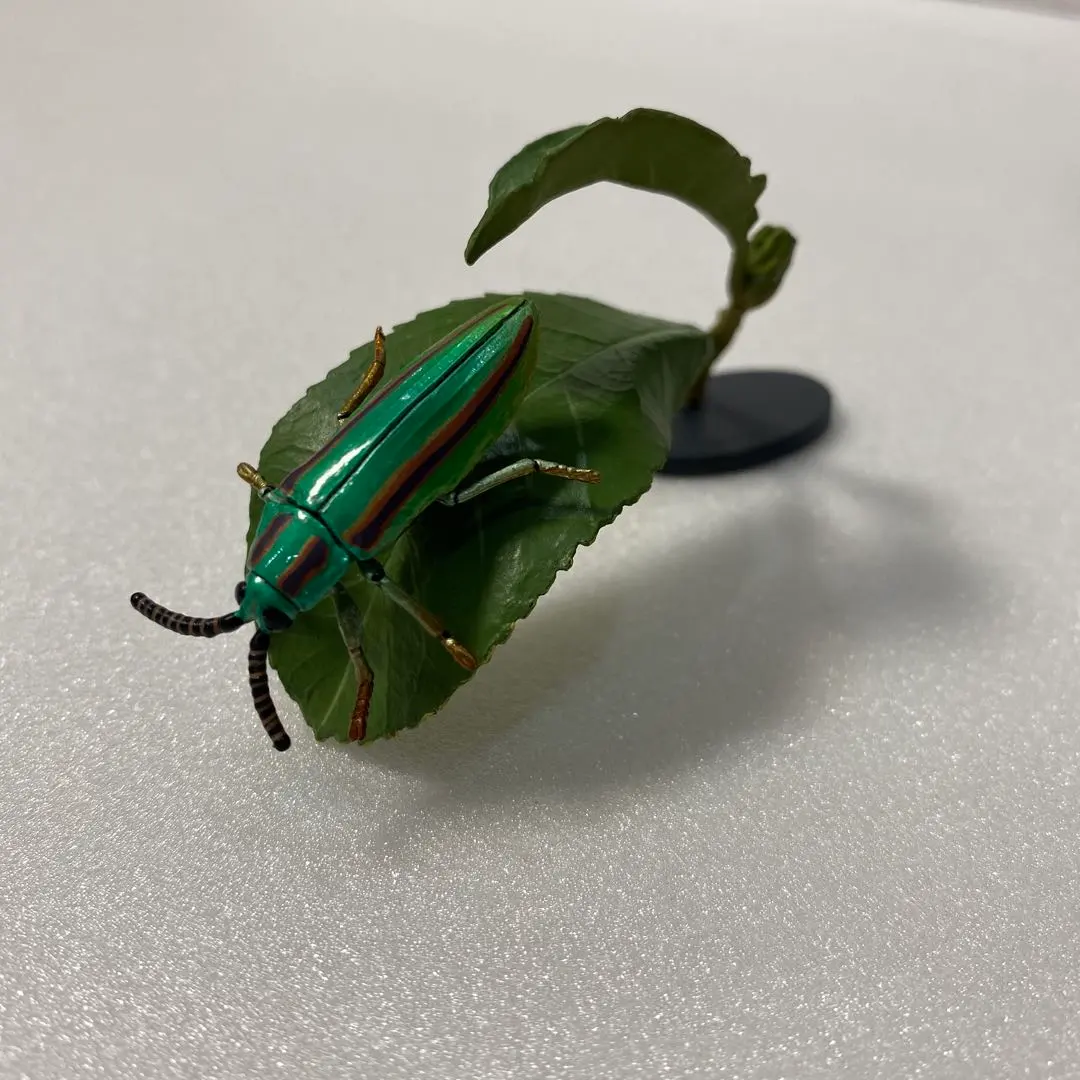 2026年最新】ヤマトタマムシの人気アイテム - メルカリ