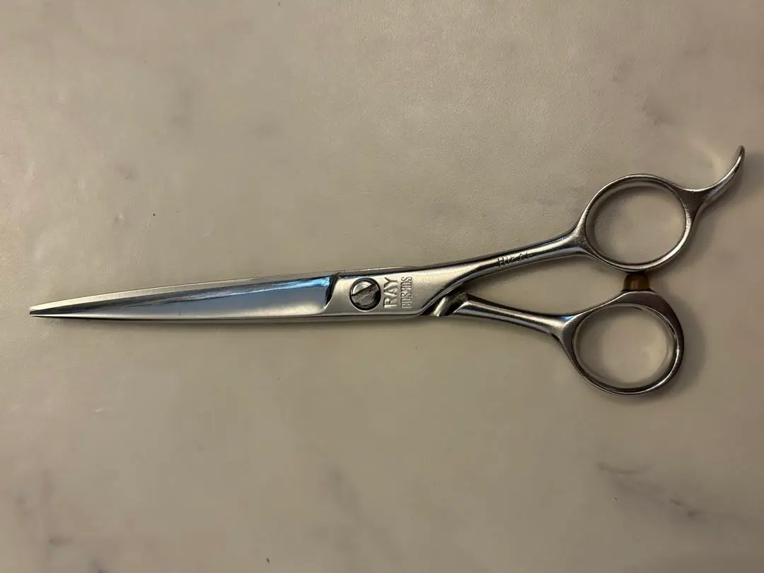 2026年最新】光シザー レイコスモスの人気アイテム - メルカリ