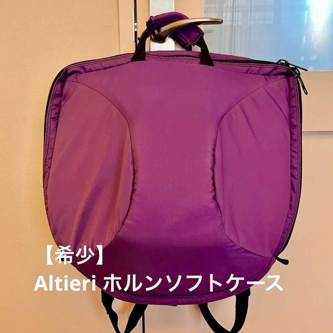 2026年最新】ホルン ケース アレキサンダーの人気アイテム - メルカリ